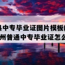 岑巩县中专毕业证图片模板(2011年贵州普通中专毕业证怎么购买）