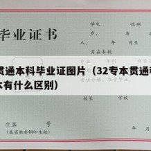 32贯通本科毕业证图片（32专本贯通和专升本有什么区别）