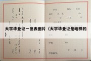 大学毕业证一览表图片（大学毕业证是啥样的）