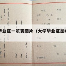 大学毕业证一览表图片（大学毕业证是啥样的）