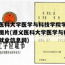 遵义医科大学医学与科技学院学位证样本图片(遵义医科大学医学与科技学院就业信息网)