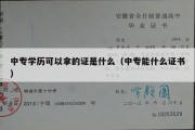 中专学历可以拿的证是什么（中专能什么证书）