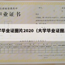 大学毕业证图片2020（大学毕业证图片样本）