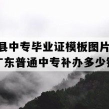 怀集县中专毕业证模板图片(2006年广东普通中专补办多少钱）