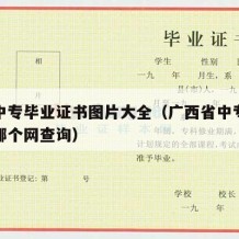 广西中专毕业证书图片大全（广西省中专毕业证在哪个网查询）