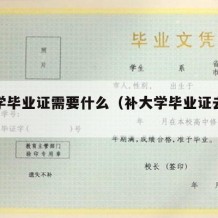 补大学毕业证需要什么（补大学毕业证去哪个部门）