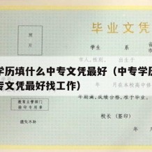 中专学历填什么中专文凭最好（中专学历填什么中专文凭最好找工作）