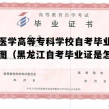 大庆医学高等专科学校自考毕业证高清样图（黑龙江自考毕业证是怎样的）