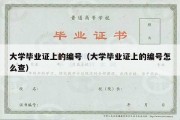 大学毕业证上的编号（大学毕业证上的编号怎么查）