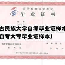 内蒙古民族大学自考毕业证样本（内蒙古自考大专毕业证样本）