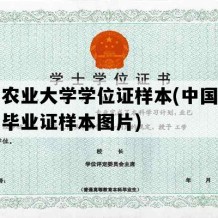 中国农业大学学位证样本(中国农业大学毕业证样本图片)