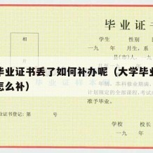 大学毕业证书丢了如何补办呢（大学毕业证书丢了怎么补）