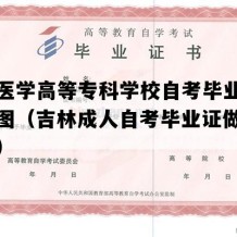 长春医学高等专科学校自考毕业证电子版图（吉林成人自考毕业证做个多少钱）