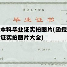 函授本科毕业证实拍图片(函授本科毕业证实拍图片大全)