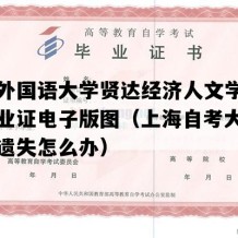 上海外国语大学贤达经济人文学院自考毕业证电子版图（上海自考大专毕业证遗失怎么办）