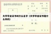 大学毕业证书叫什么名字（大学毕业证书是什么样的）