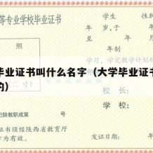 大学毕业证书叫什么名字（大学毕业证书是什么样的）