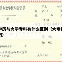 中专学历与大学专科有什么区别（大专和中专的学历）