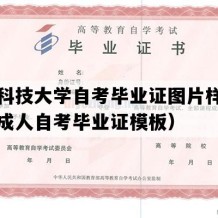 河南科技大学自考毕业证图片样本（河南成人自考毕业证模板）