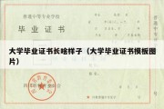 大学毕业证书长啥样子（大学毕业证书模板图片）