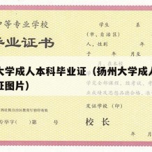 扬州大学成人本科毕业证（扬州大学成人本科毕业证图片）