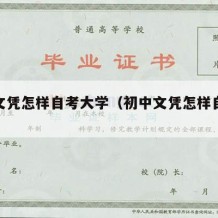 初中文凭怎样自考大学（初中文凭怎样自考大学的）