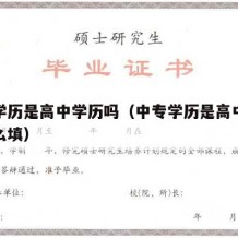 中专学历是高中学历吗（中专学历是高中学历吗怎么填）