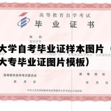 临沂大学自考毕业证样本图片（山东自考大专毕业证图片模板）