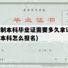 全日制本科毕业证需要多久拿证(全日制本科怎么报名)