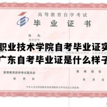 罗定职业技术学院自考毕业证实拍图片（广东自考毕业证是什么样子的）