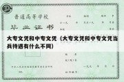 大专文凭和中专文凭（大专文凭和中专文凭当兵待遇有什么不同）