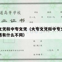 大专文凭和中专文凭（大专文凭和中专文凭当兵待遇有什么不同）