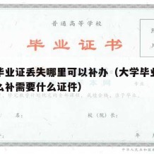 大学毕业证丢失哪里可以补办（大学毕业证丢了怎么补需要什么证件）