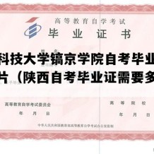 陕西科技大学镐京学院自考毕业证模板图片（陕西自考毕业证需要多久拿证）