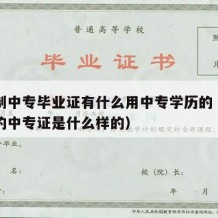 全日制中专毕业证有什么用中专学历的（全日制的的中专证是什么样的）