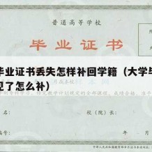 大学毕业证书丢失怎样补回学籍（大学毕业证书不见了怎么补）