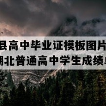 孝昌县高中毕业证模板图片(1998年湖北普通高中学生成绩单）