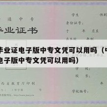 中专毕业证电子版中专文凭可以用吗（中专毕业证电子版中专文凭可以用吗）