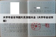 大学毕业证书图片高清版大全（大学毕业证样版）