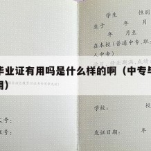 中专毕业证有用吗是什么样的啊（中专毕业证有何用）