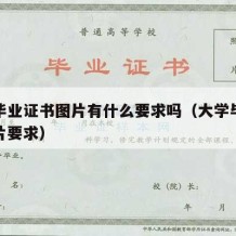 大学毕业证书图片有什么要求吗（大学毕业证书照片要求）