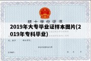 2019年大专毕业证样本图片(2019年专科毕业)