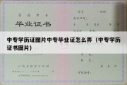 中专学历证图片中专毕业证怎么弄（中专学历证书图片）