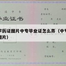 中专学历证图片中专毕业证怎么弄（中专学历证书图片）