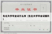 东北大学毕业证什么样（东北大学毕业证图片）