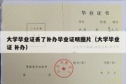 大学毕业证丢了补办毕业证明图片（大学毕业证 补办）