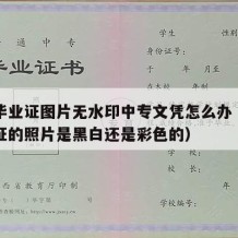 中专毕业证图片无水印中专文凭怎么办（中专毕业证的照片是黑白还是彩色的）