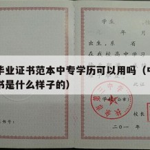 中专毕业证书范本中专学历可以用吗（中专毕业证书是什么样子的）