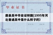 唐县高中毕业证样图(1995年河北普通高中是什么样子的）