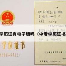 中专学历证有电子版吗（中专学历证书样本）